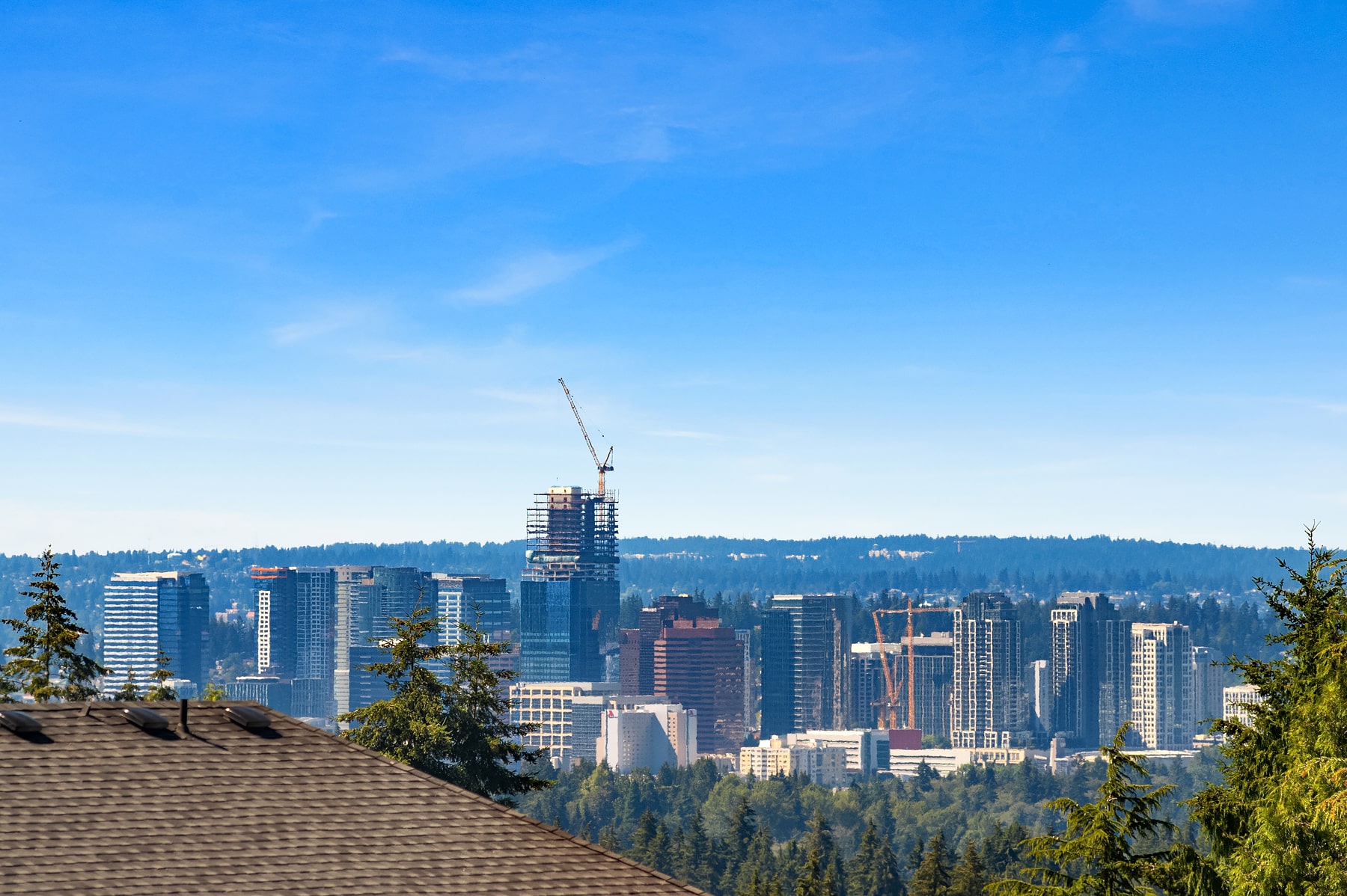 A view of the Seattle skyline with buildings and construction cranes, emphasizing the urban location and new development projects in the area.